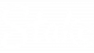 Stake-Logo